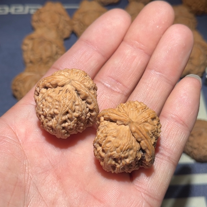 文玩核桃把件30➕白狮子