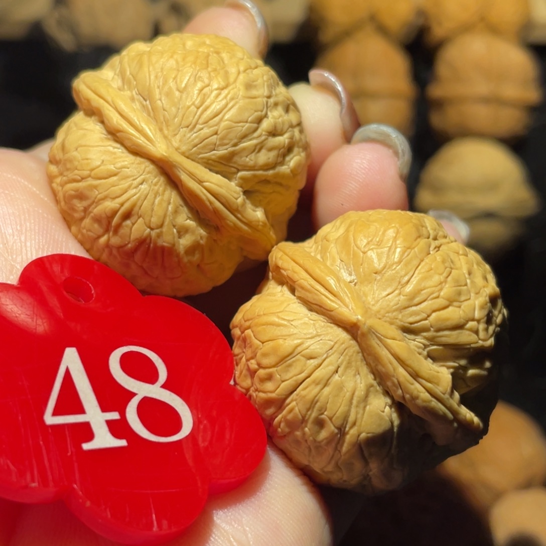 奇趣蛋33尺寸核桃。  