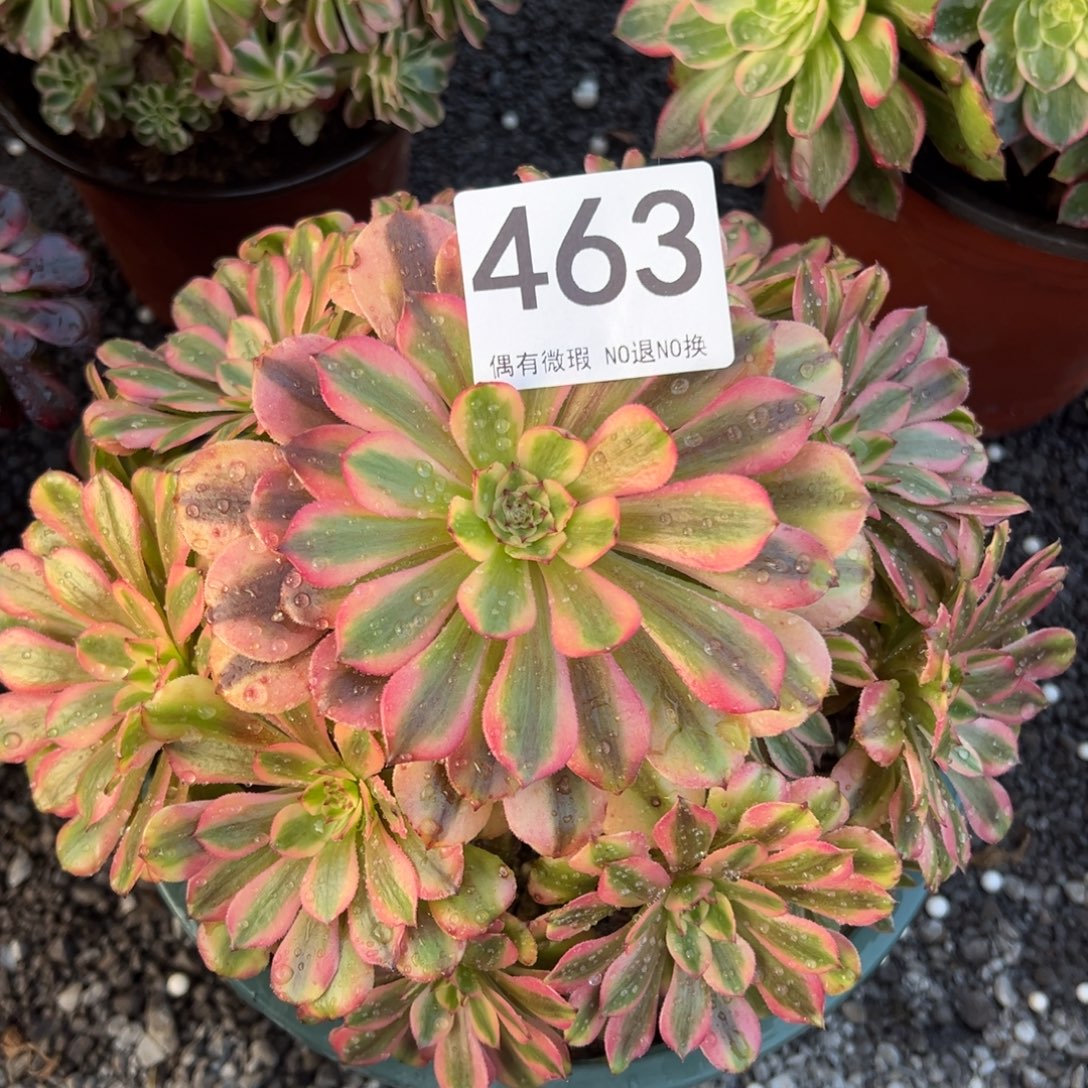 我是真的很喜欢这个