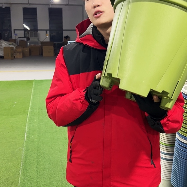 清仓青山口40高34果绿色3只无托