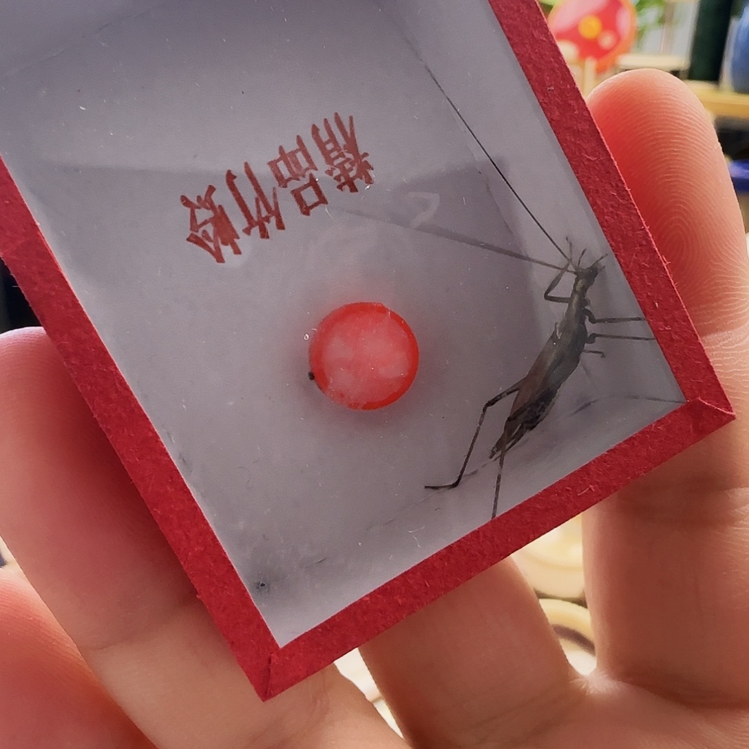 郑***师紫竹2只6666666666