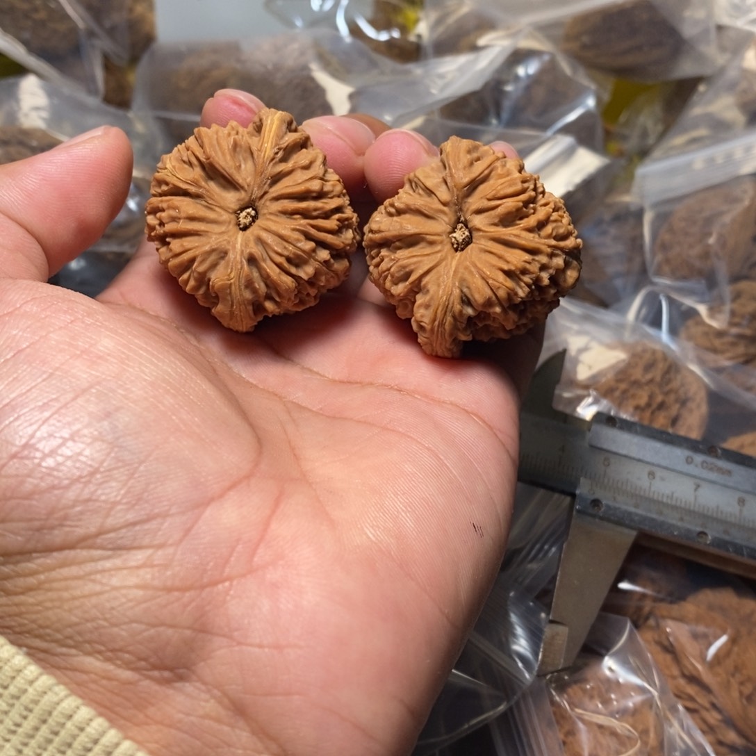 释***怀核桃文玩核桃南疆石有黄色差006