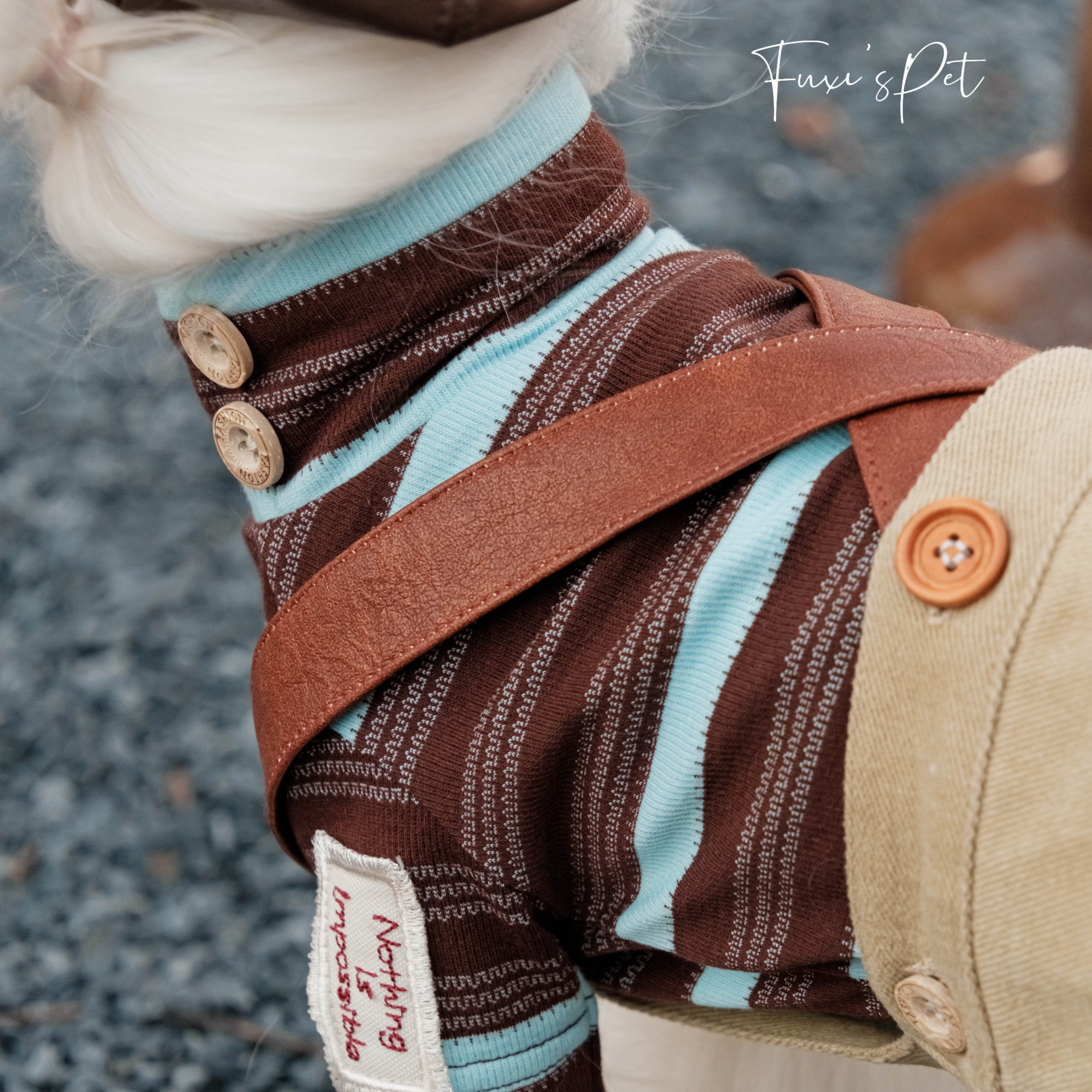 宠物衣服马尔济斯比熊泰迪西施约克夏百搭miu系条纹居家服打底衣