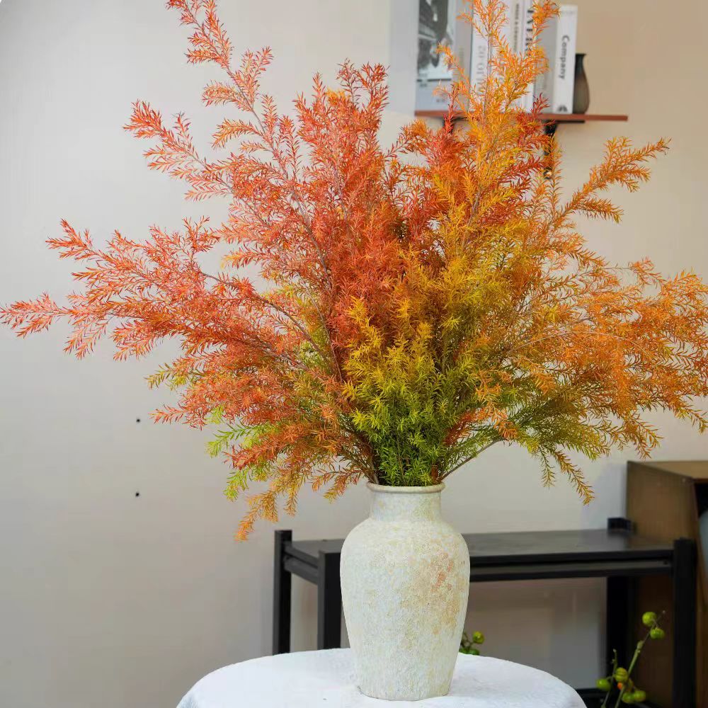 胖胖专属链接 千层金 鲜切花 可做干花