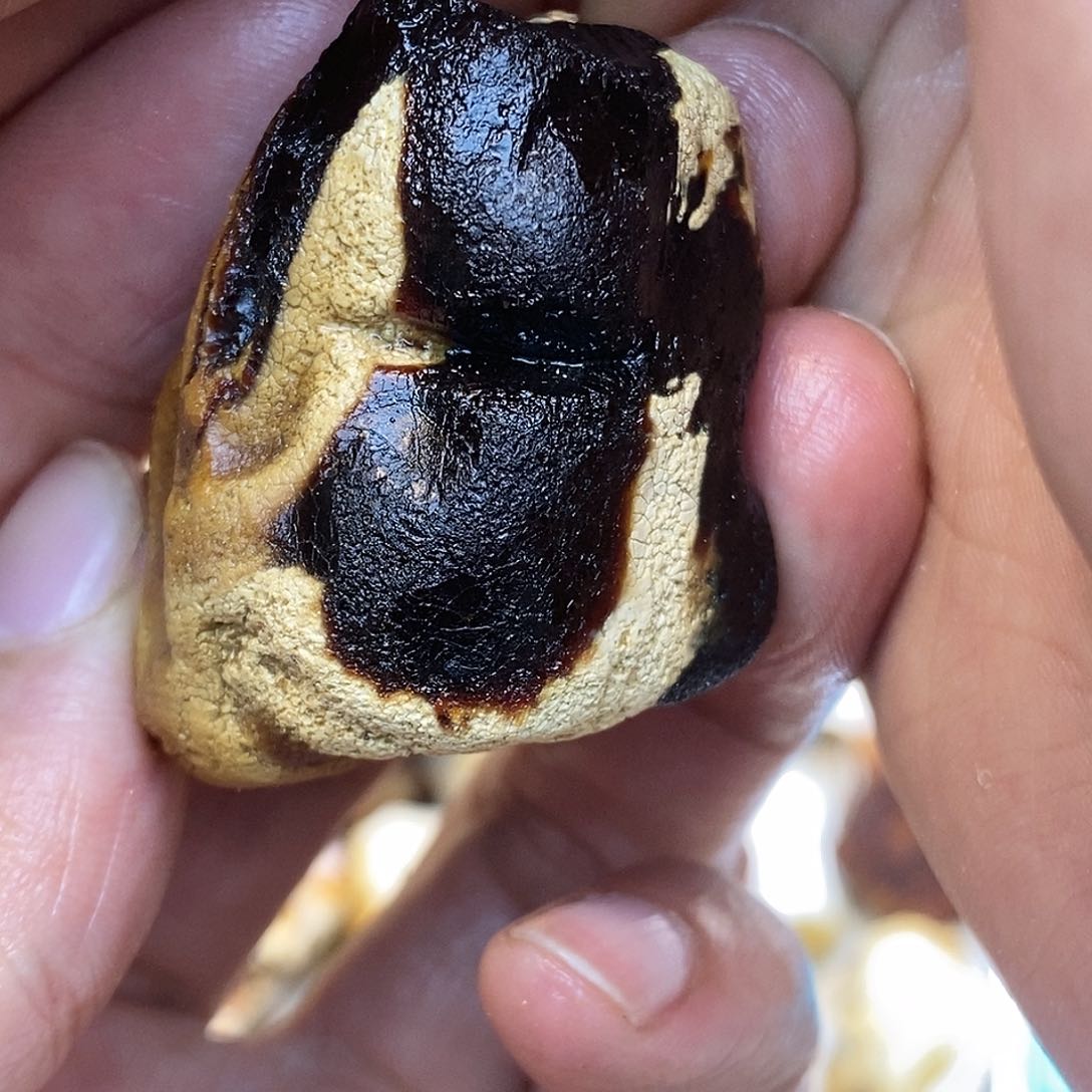 定制琥珀未镶嵌阿**好原石