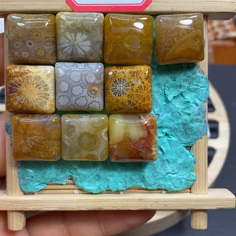 【闪购商品】硅化珊瑚（珊瑚玉）颈饰未镶嵌