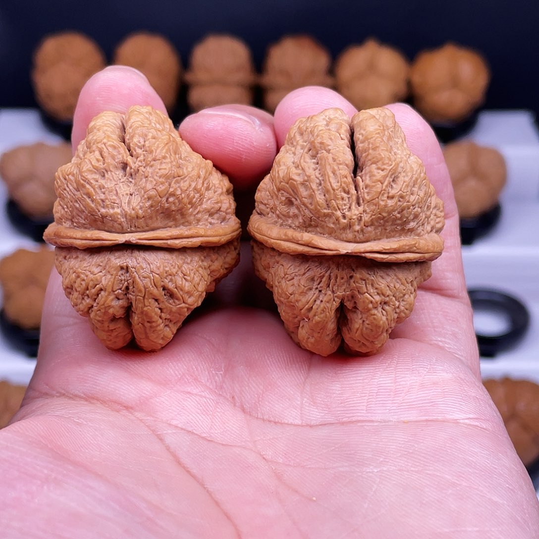 文玩核桃吊坠临沧古蟾王42+尺不退不换