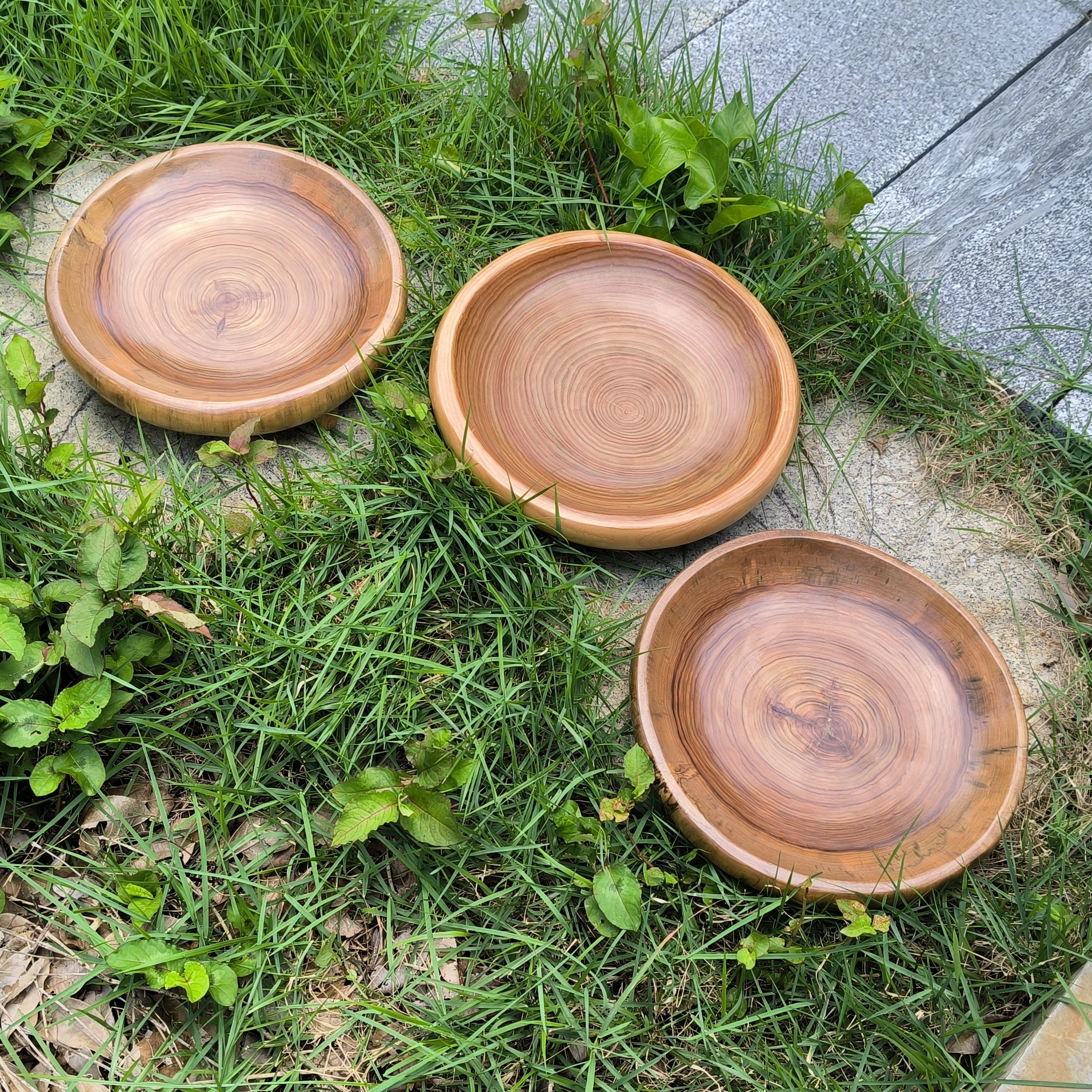 纯手工香樟整木果盘、聚宝盆