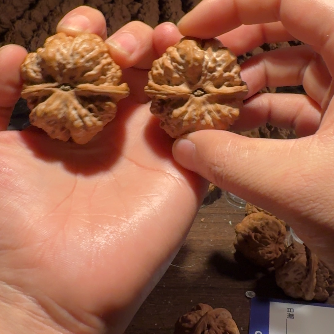 老***丶文玩核桃吊坠蛤蟆的眼睛是真的好看啊我的天啊