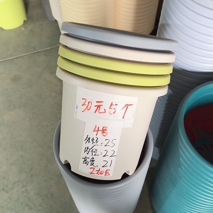 四季4#口径25灰白5个无托