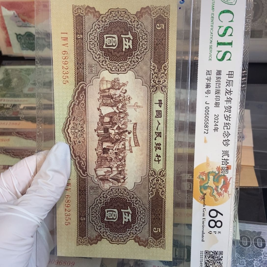 黄五 355…………………………