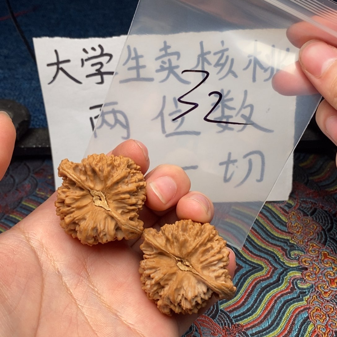 核桃哈哈哈哈哈哈哈哈哈哈哈哈