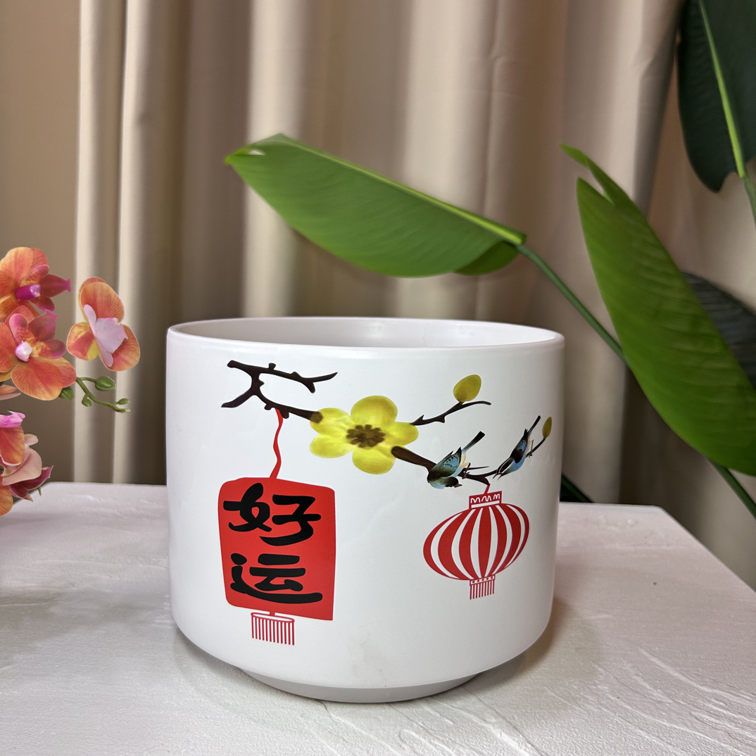 C176口22高18.5创意好运透气花盆适合蝴蝶兰多肉等绿植花卉