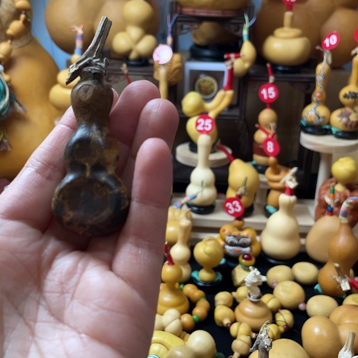 福***2葫芦丝老师在讲英语课