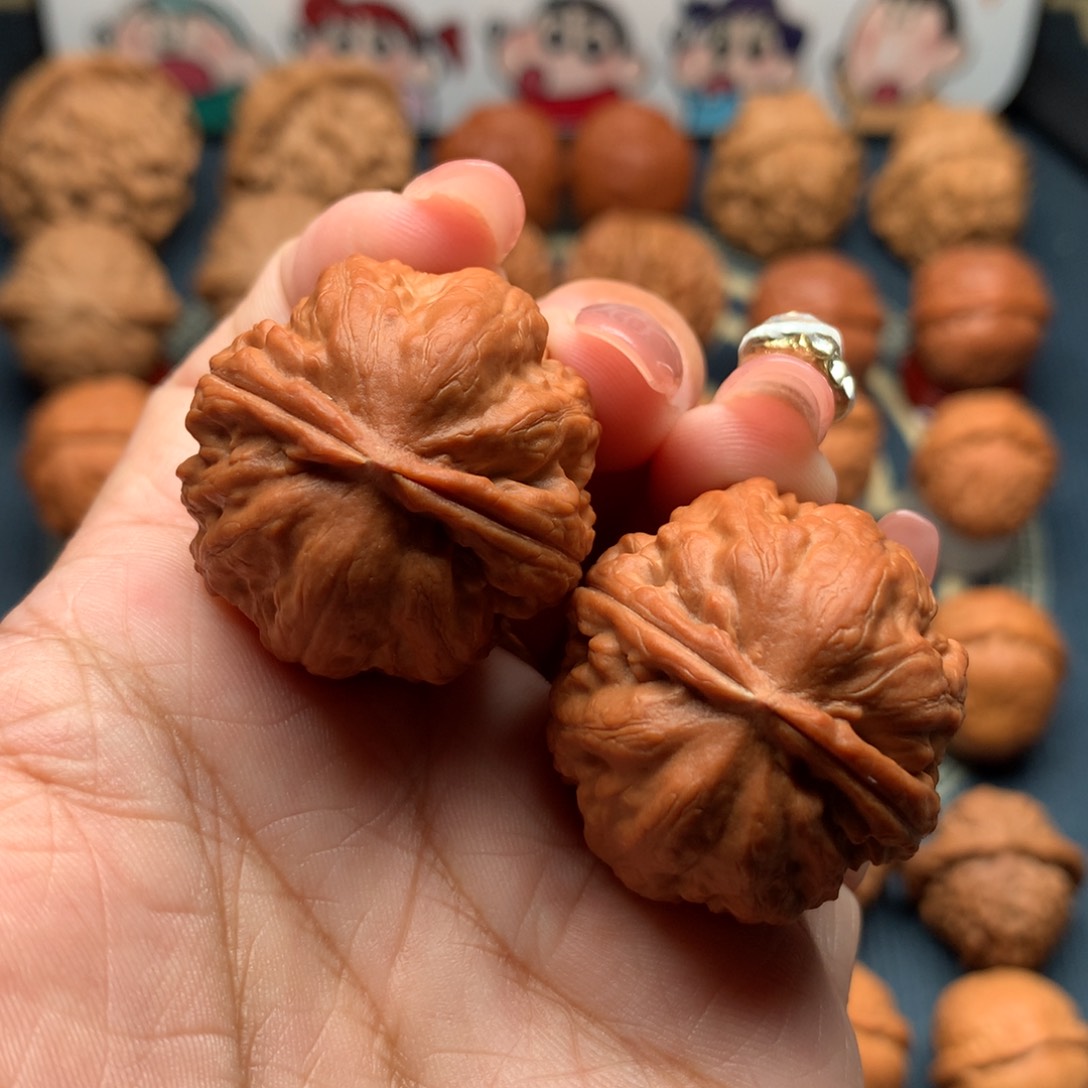 文玩核桃把件卧龙粗筋