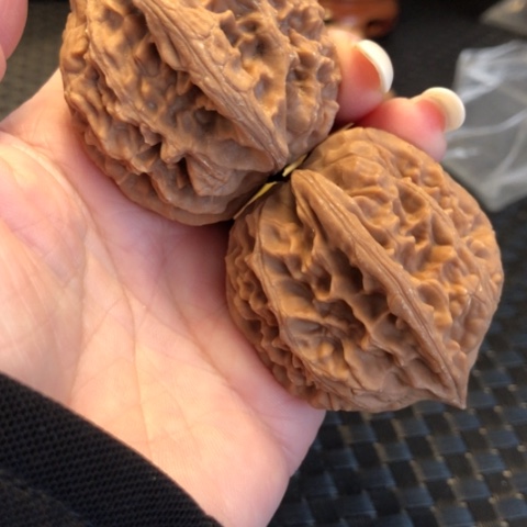 文玩核桃吊坠43尺鸡心