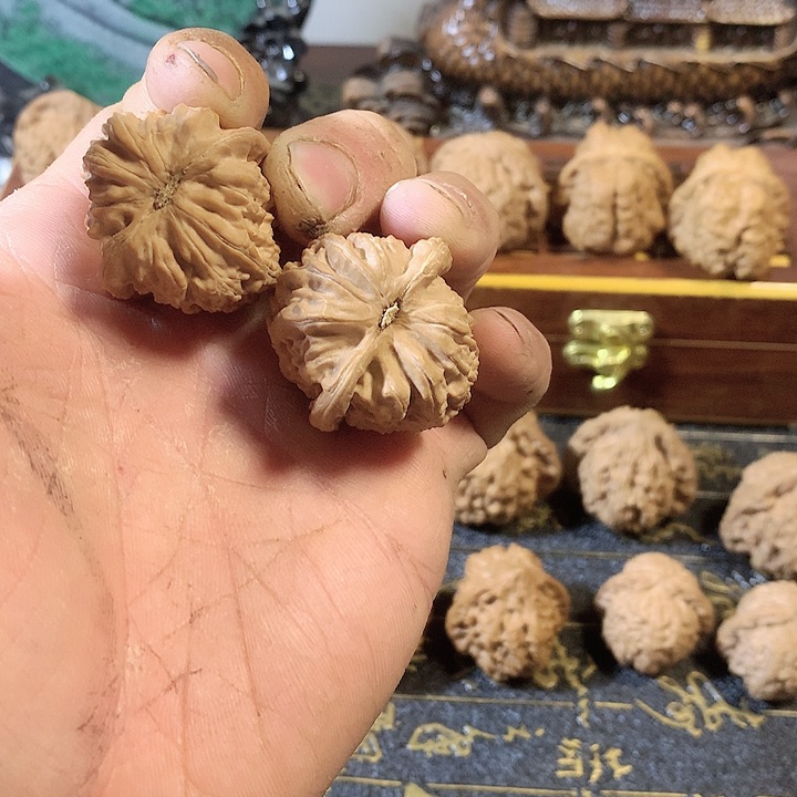 桃核吊坠文玩核桃白狮子小手捻35