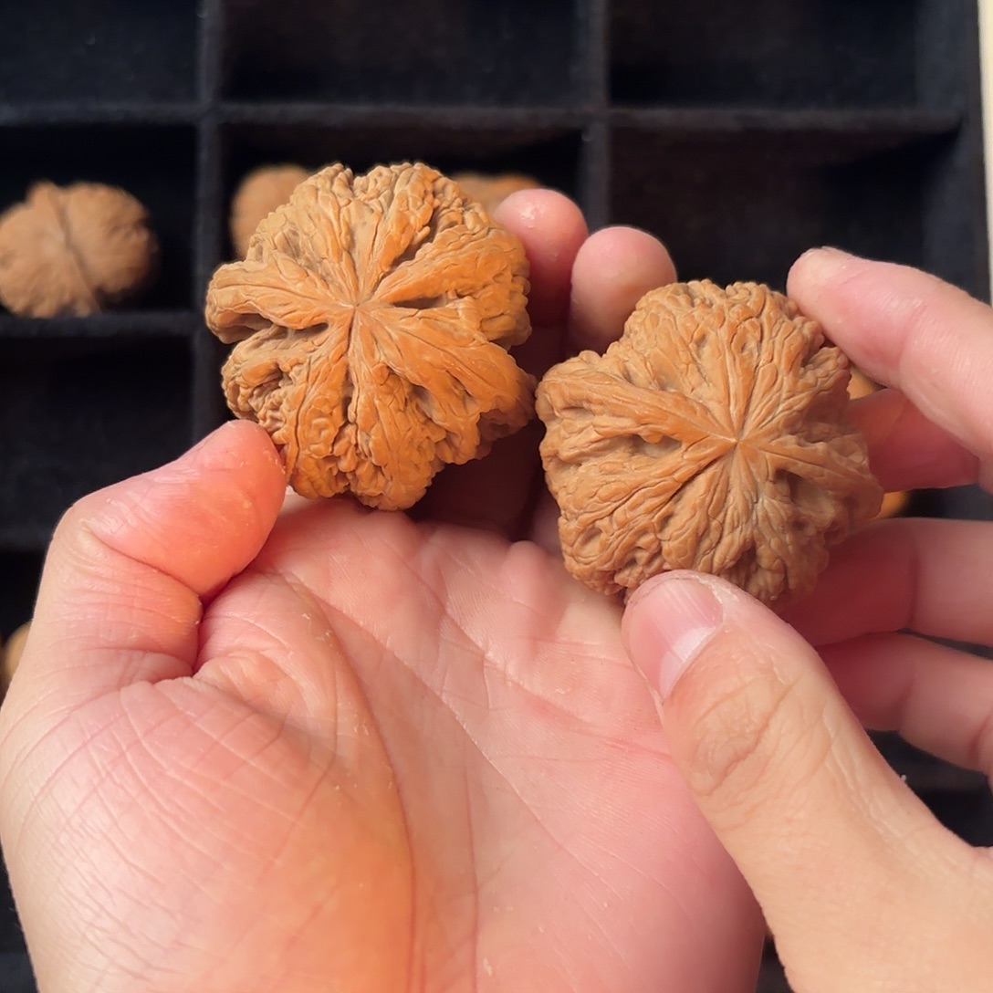 核桃手串/手链55555