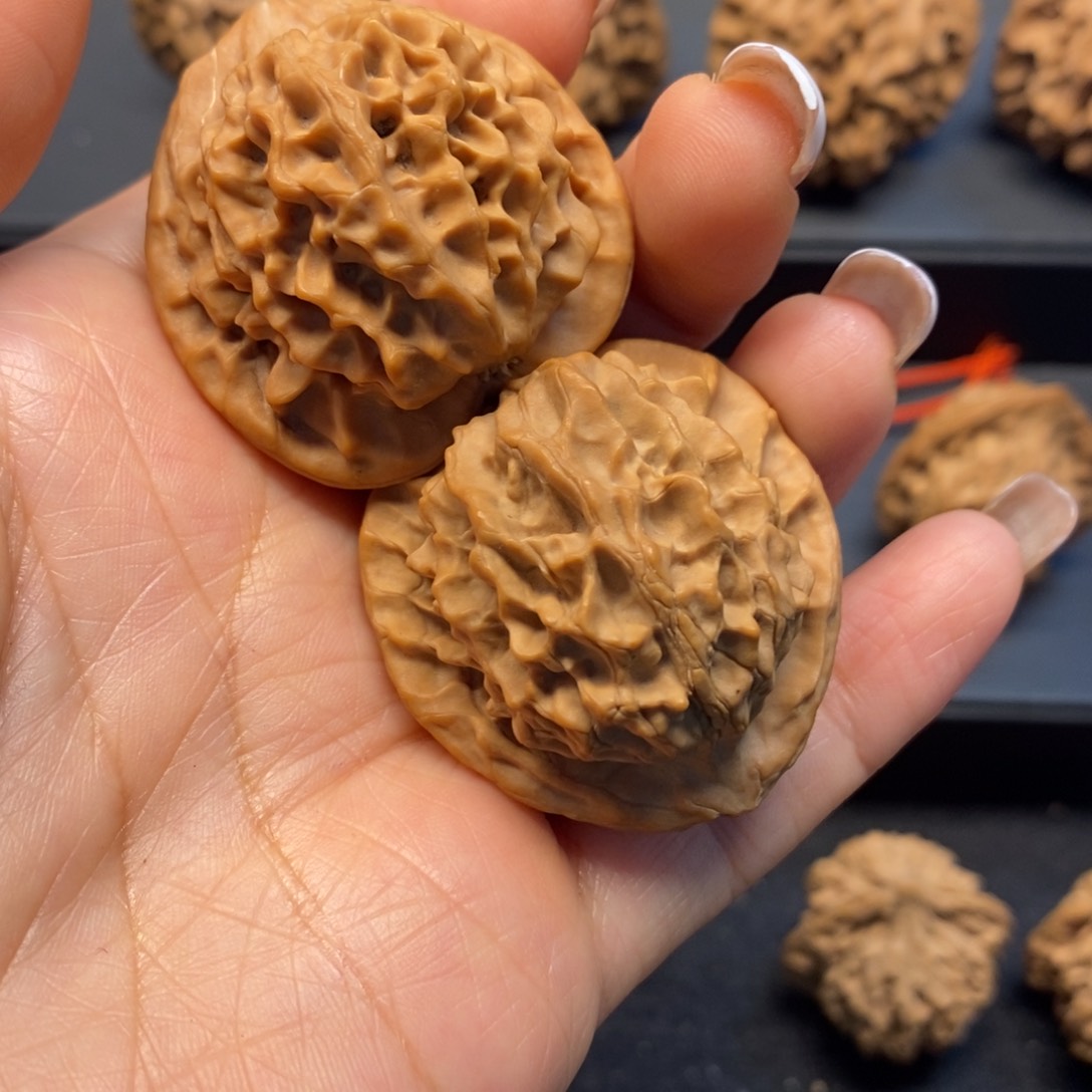 秦岭南风化沙区已初步