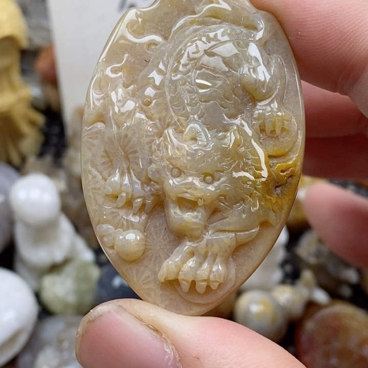 颈饰未镶嵌硅化珊瑚（珊瑚玉）