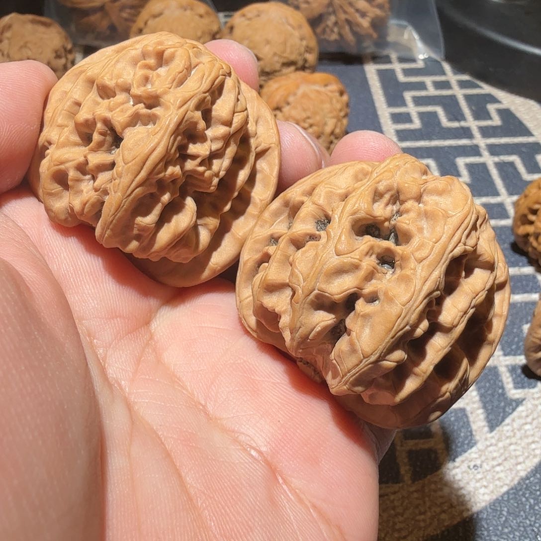 文玩核桃把件没**?远古九龙