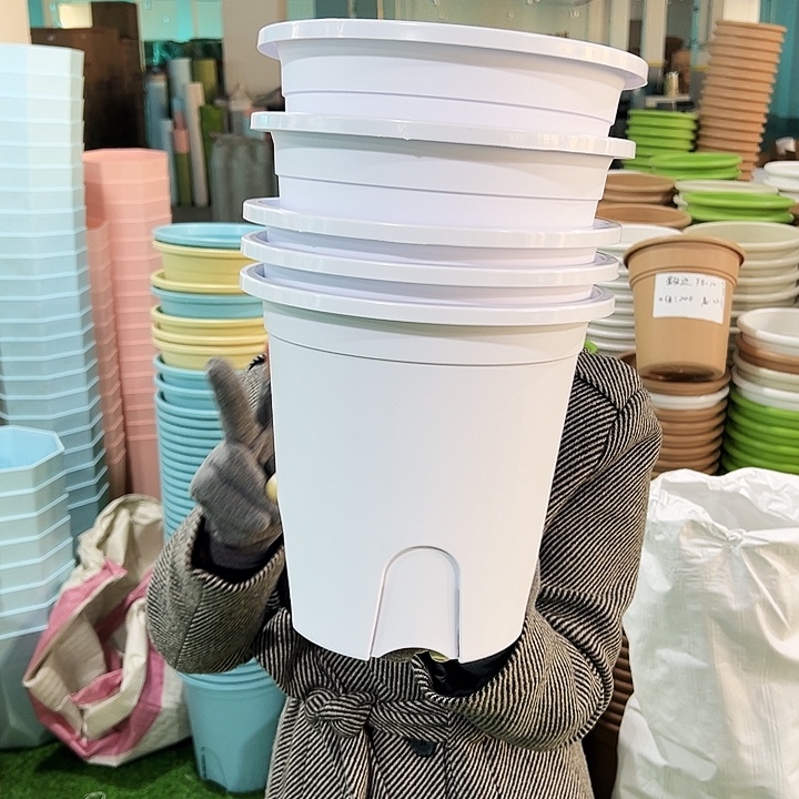 清仓圆形控根口21高21白色5个无托