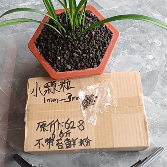 独***雪兰菌黑山土小颗粒6.6斤