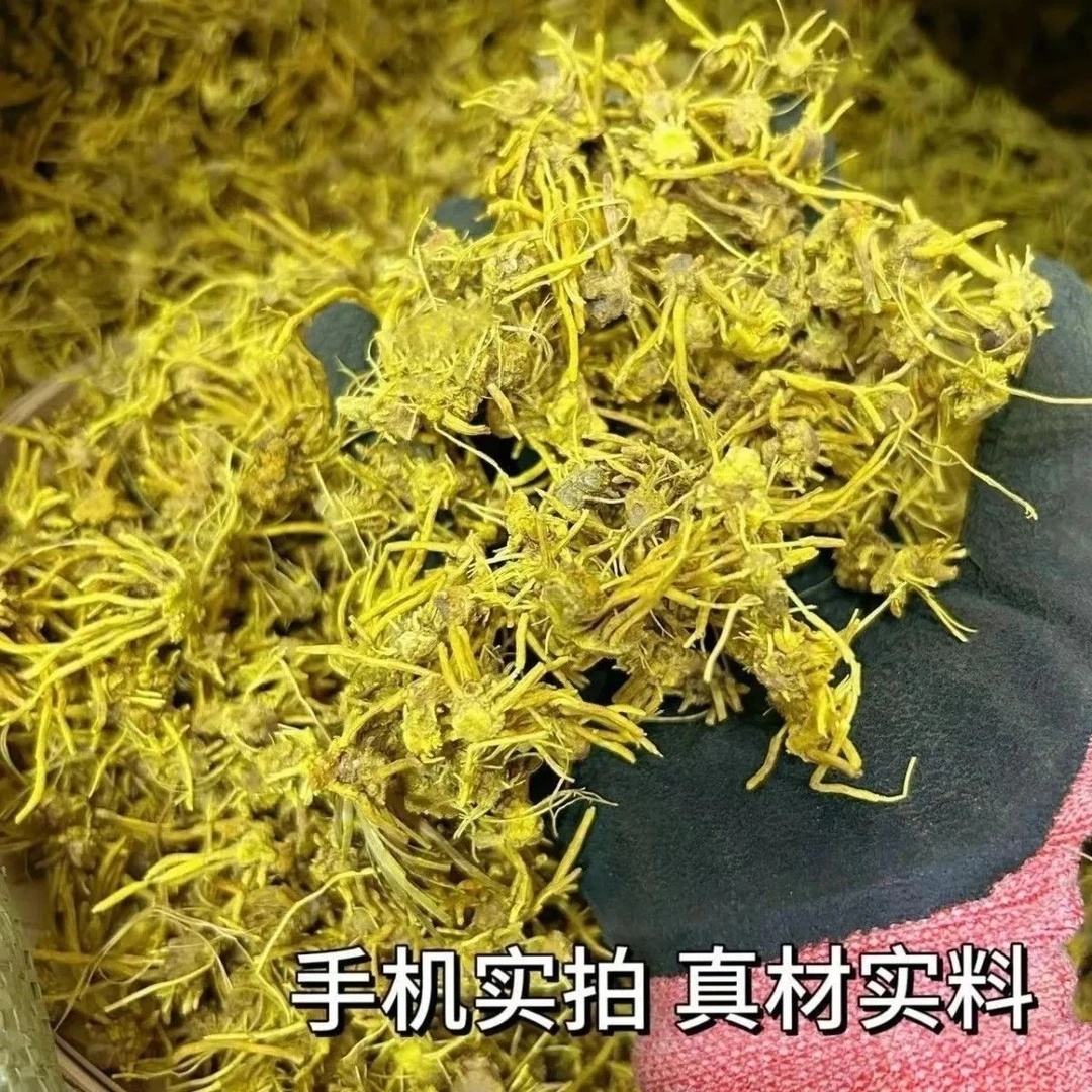 高原山货金龙须黄龙须优选黄龙根品质好