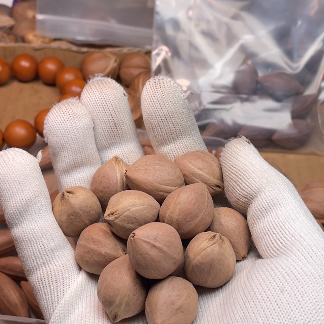 用***4橄榄核手串/手链1