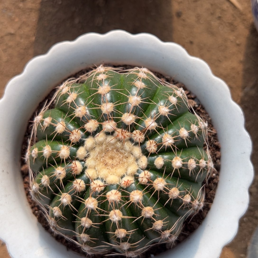 k***漓零零落落 零零落落