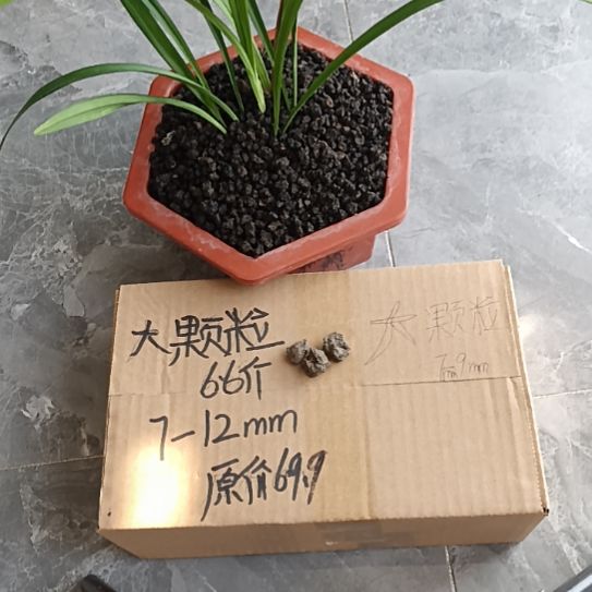 ****哥兰菌黑山土大颗粒6.6斤