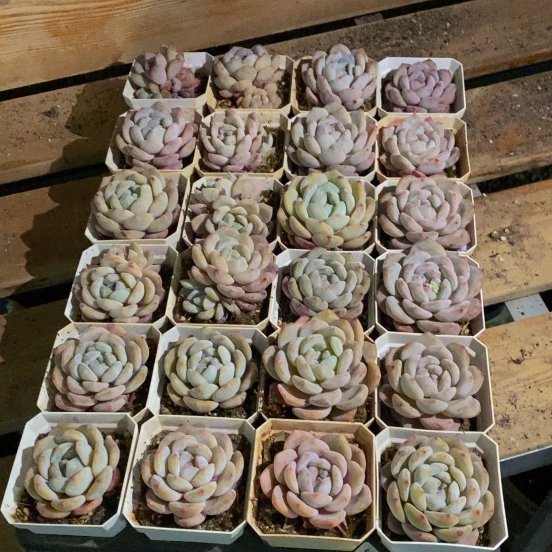 458的人生态度是一种态度