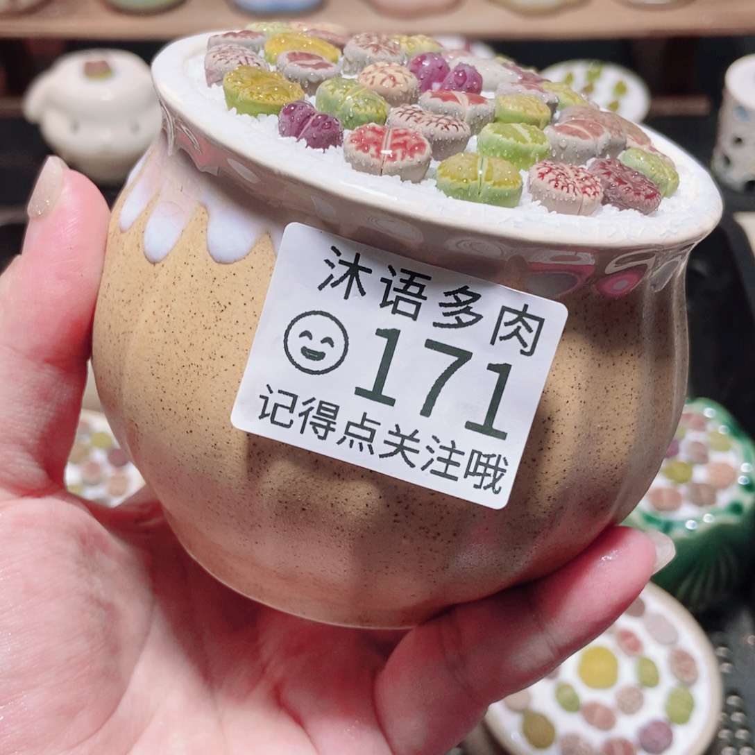 一物一拍 所见即所得 171