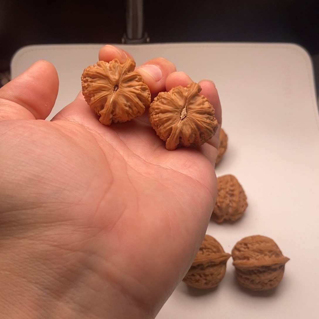 文玩核桃把件o*白狮子