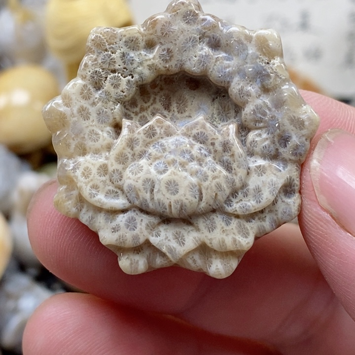 颈饰未镶嵌硅化珊瑚（珊瑚玉）有瑕 小