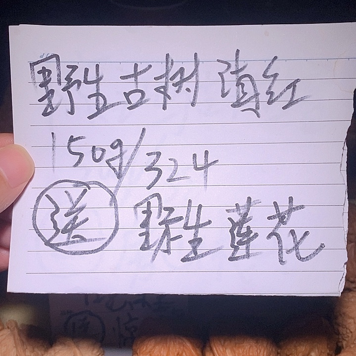 文玩核桃手把件活动