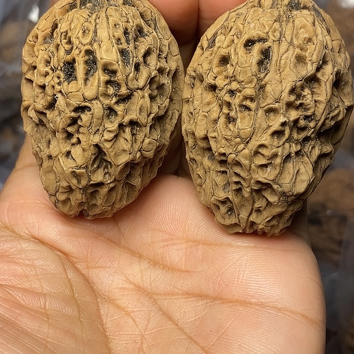 把件文玩核桃云南铁核桃16