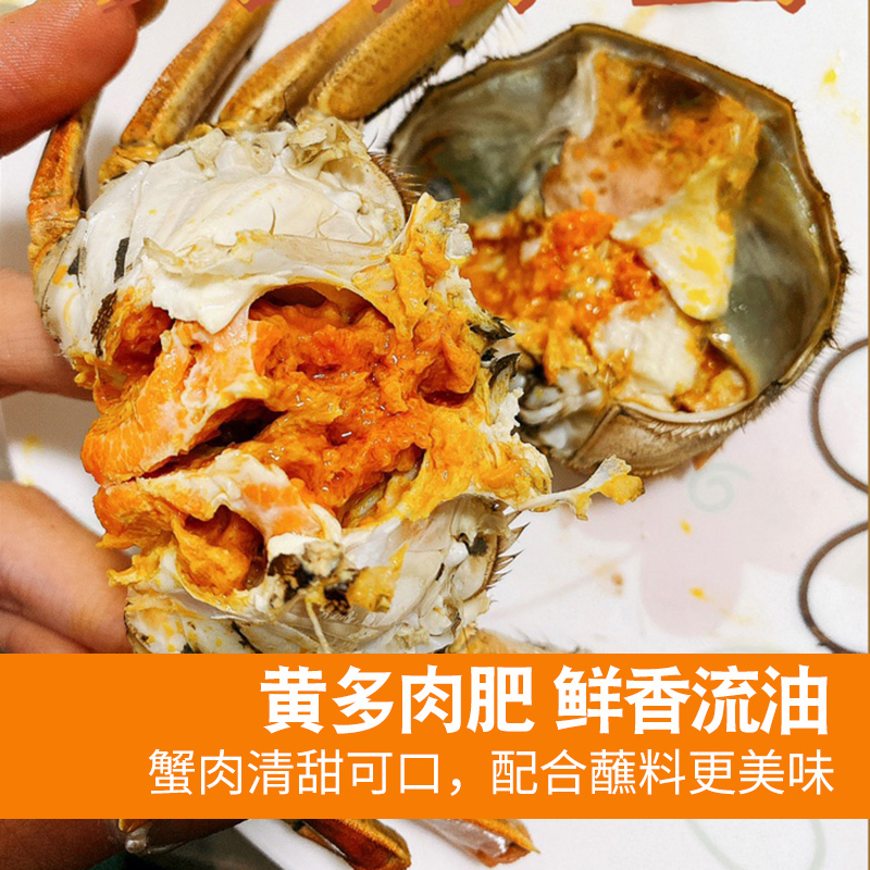 【活蟹】江苏精品大闸蟹公蟹 母蟹搭配2-3斤/每只3两起6-12只
