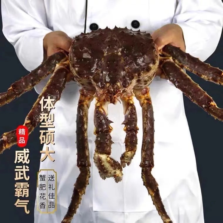 鲜活帝王蟹   保8-9成肥  保鲜不保活
