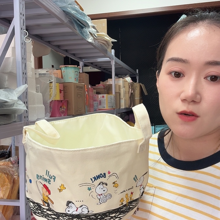 PU箱包收纳箱等物品