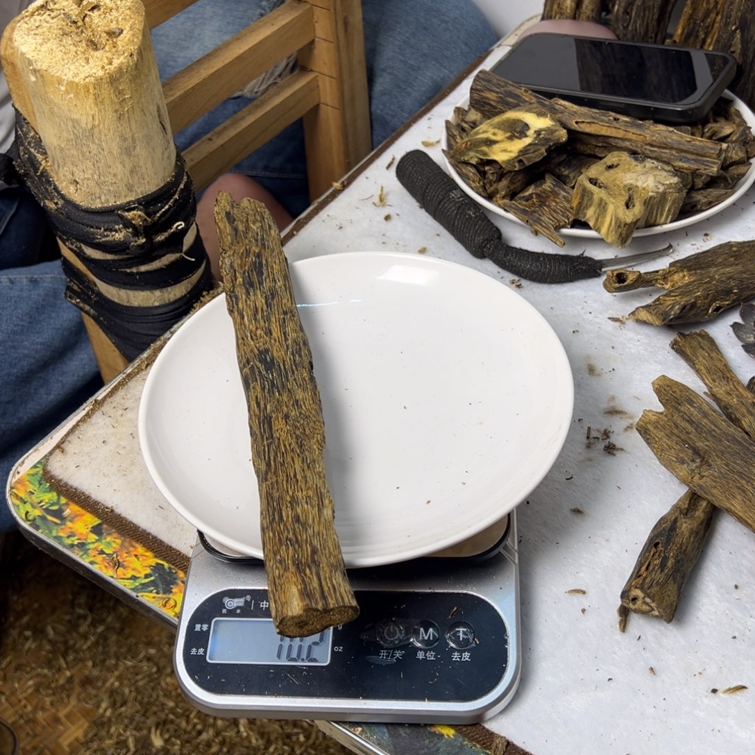 线香奇楠虫漏香70克