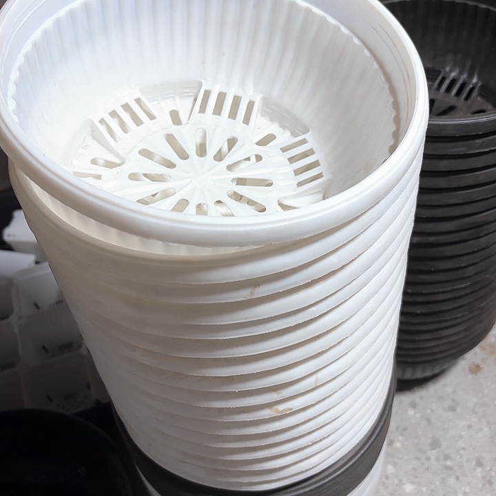 20公分白方聚宝盆16个