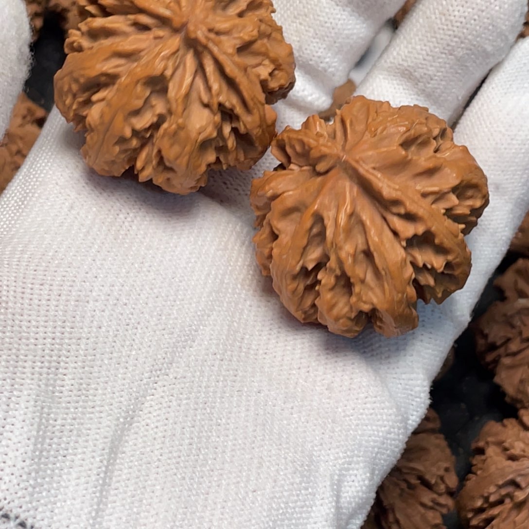 桃核吊坠1 秦岭灯笼野生小众