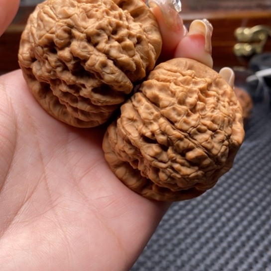 文玩核桃吊坠49全品龙鼎