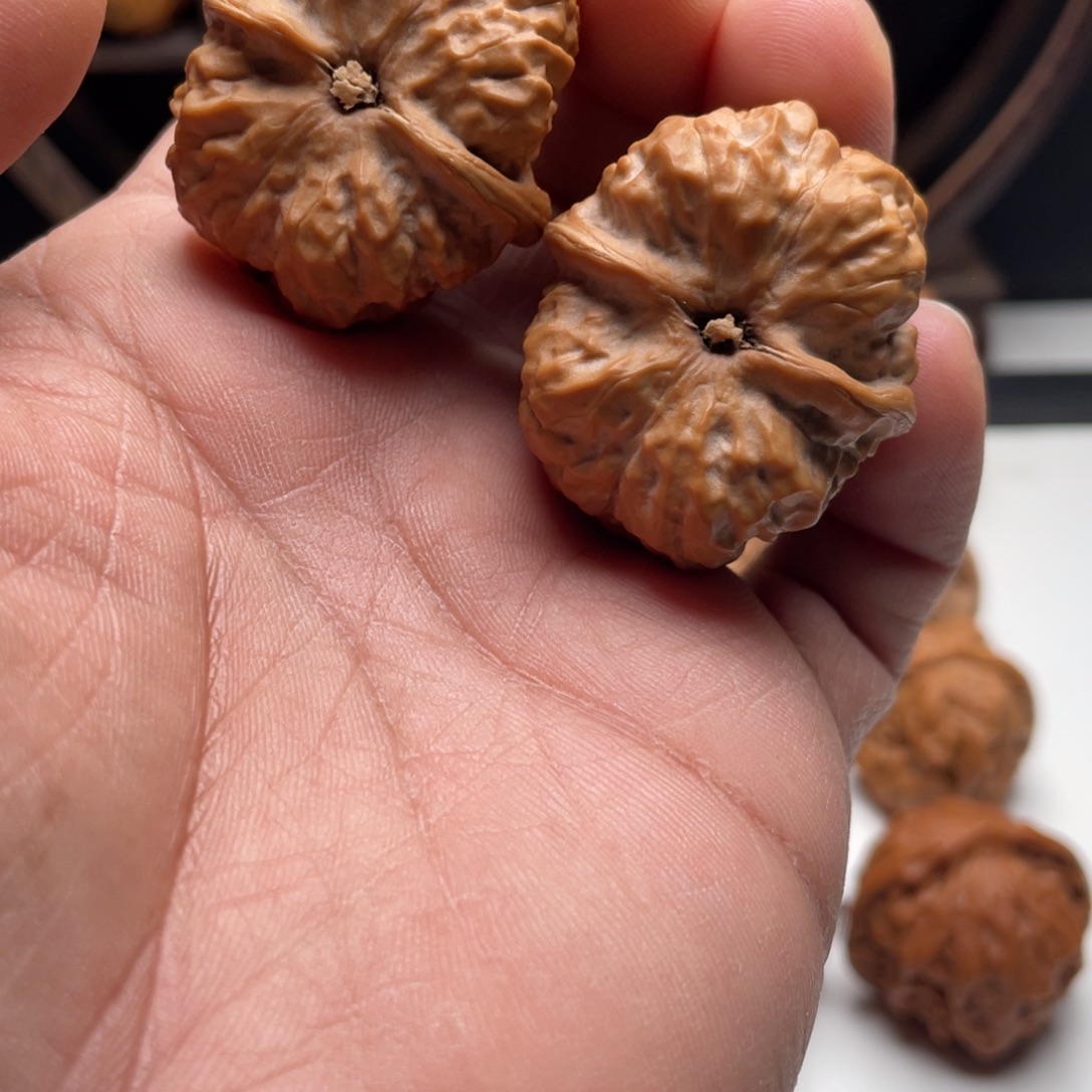 牙***肉核桃蛤蟆头核桃 34