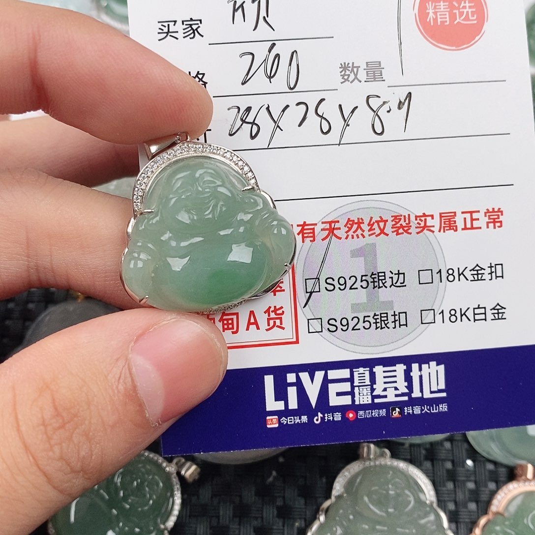 欣***欣翡翠银S925镶嵌颈饰