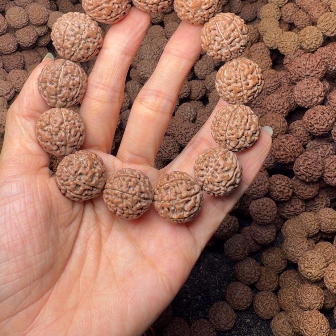 手串金刚菩提8瓣卡20尺，103号