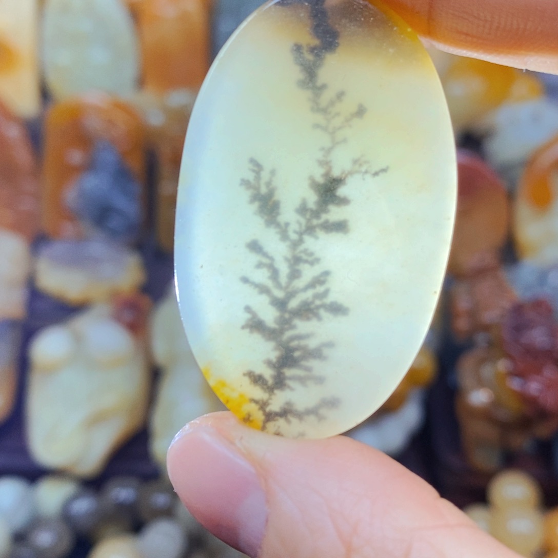 石英质玉（黄龙玉）未镶嵌颈饰