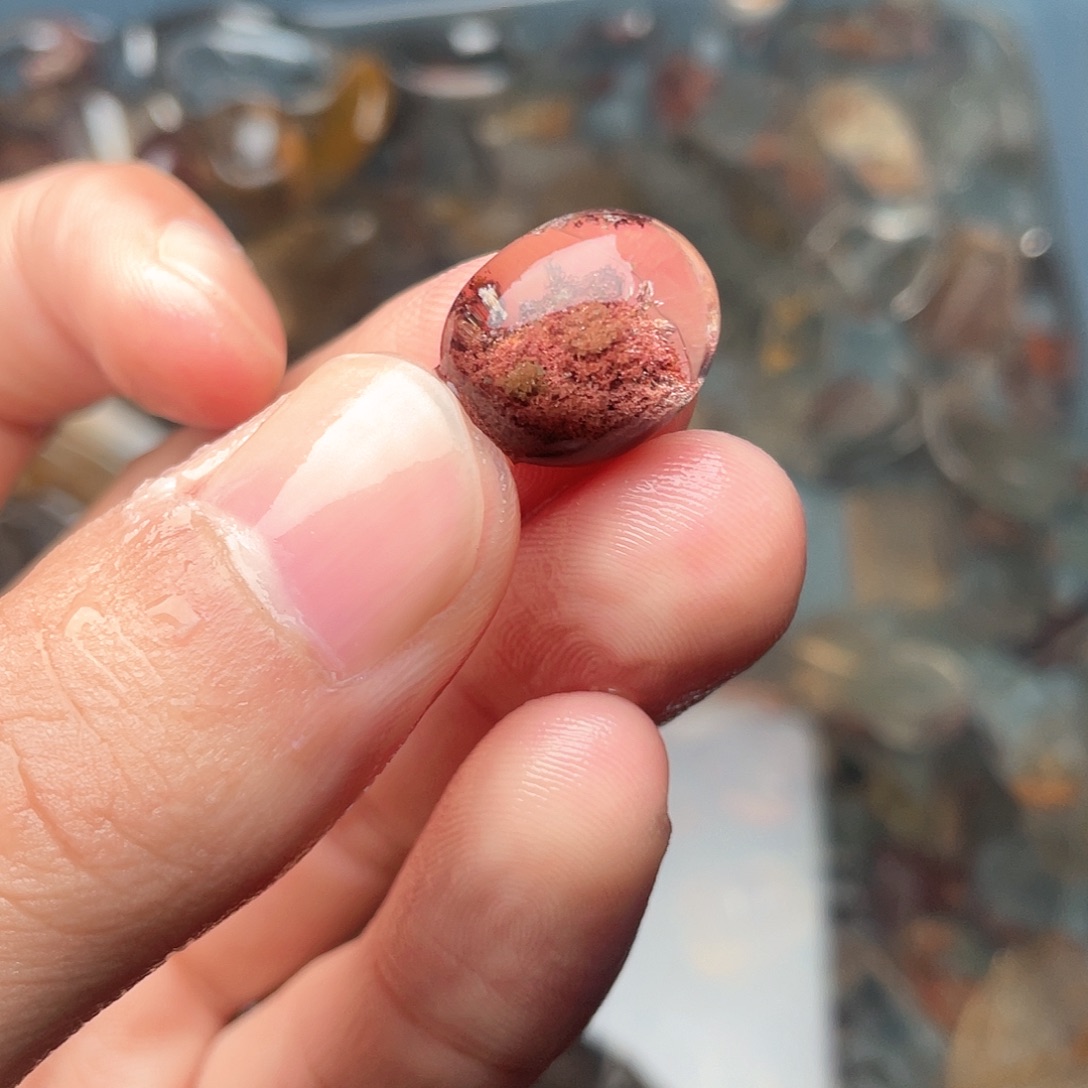 香***人非金属sfhjjjgfffffddf