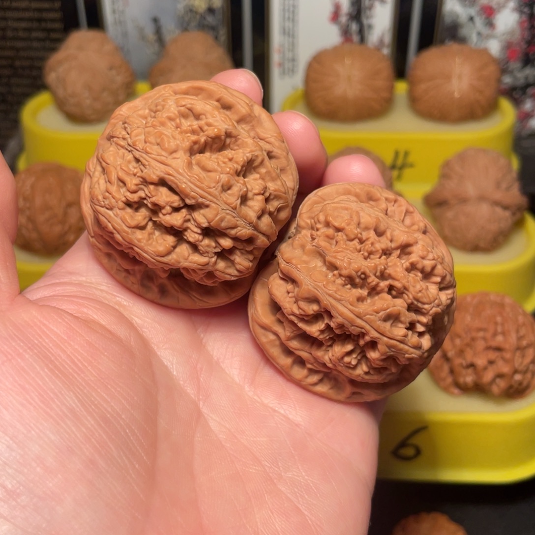 文玩核桃把件46尺粗筋核桃